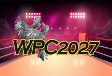 WPC2027 Cockfighting